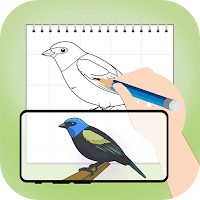 AR Draw Sketch: Trace & Sketch