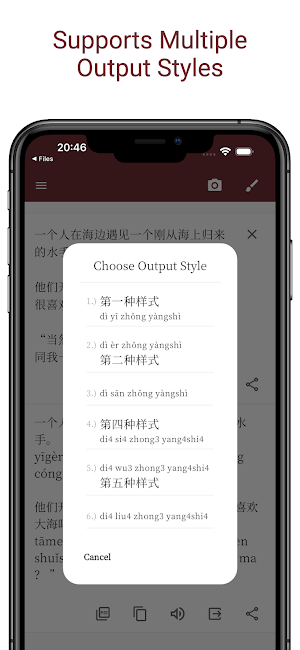 Chinese To Pinyin Screenshot 2