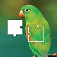 Jigsaw Puzzle Jigsaw Challenge