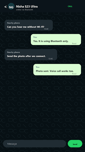 BlueLink Chat Screenshot 1