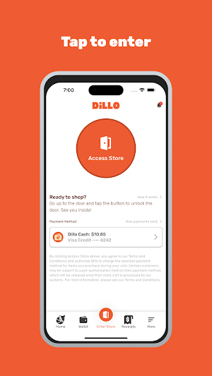 Dillo Stores Screenshot 1