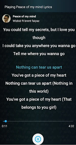 Afrobeat Lyrics: Music Lyrics Screenshot 3