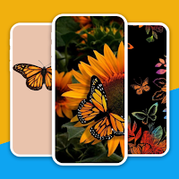 Monarch Butterfly Wallpaper