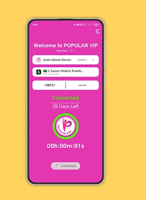 Popular VIP VPN Screenshot 0