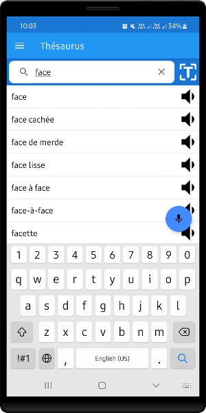 French Thesaurus Screenshot 2