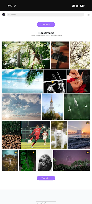 Photos Photographers Portfolio Screenshot 1