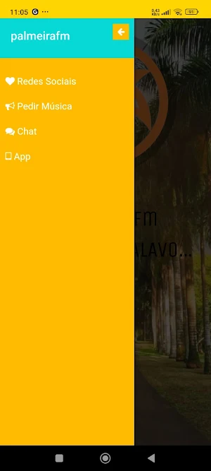 palmeirafm Screenshot 0