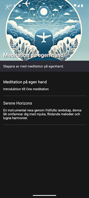 Flygvapnets Meditation Screenshot 2