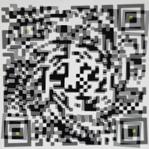 QR Code Lettore Screenshot 0