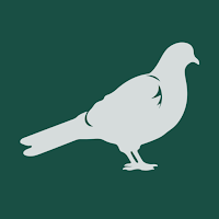 Screaming Pigeon Yoga