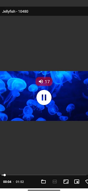 NebulaPlayer: HD Video Player Screenshot 3