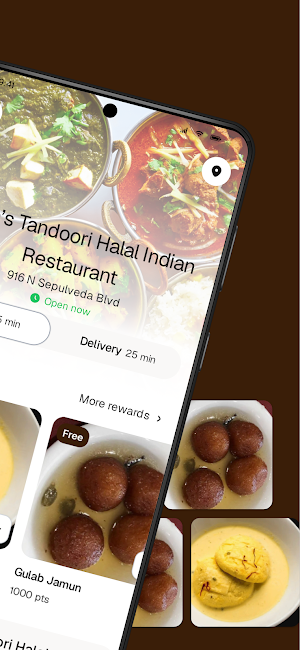 India’s Tandoori Screenshot 1