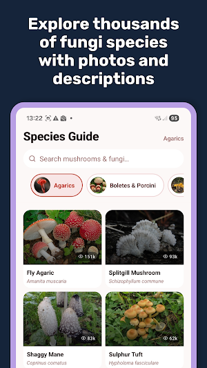 Mushroom ID By ShroomPic Screenshot 2
