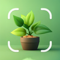 BBoom Plant Identification