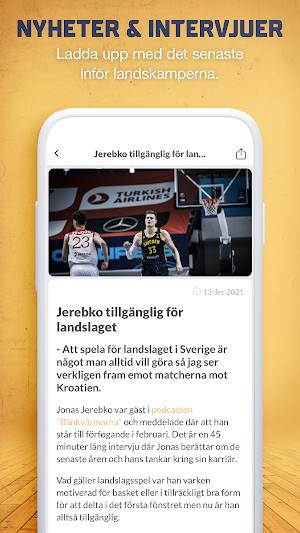 SweBasket Screenshot 3