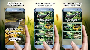 Suara Burung Ruak Ruak Offline Screenshot 1