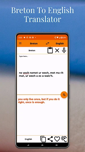Breton To English Translator Screenshot 1