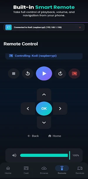 CastLink - DLNA/UPnP TV Cast Screenshot 3