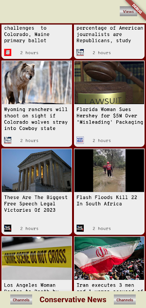 TNN Conservative  News Screenshot 1