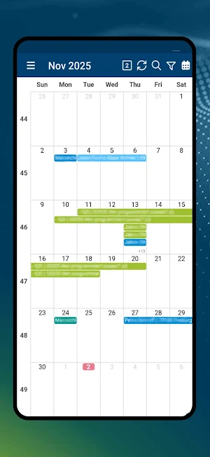 CARAT service Screenshot 1