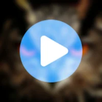 Alka Yagnik All Video Songs