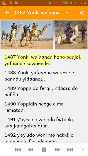 Fulfulde proverbes avec audio vol5 Screenshot 3