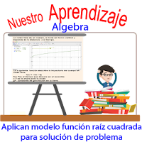 Aplican modelo raíz cuadrada en solución  problema