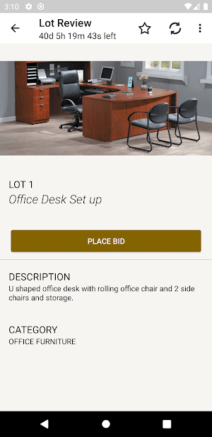 Asset Bids Screenshot 2