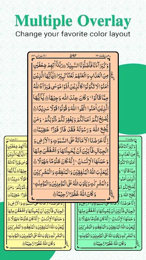 Read Quran Offline AlQuran Screenshot 3