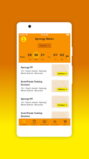 Synergy Works Screenshot 2