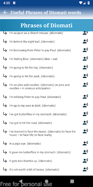 Common American English Phrase Screenshot 2