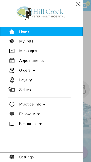 Hill Creek Vet Screenshot 1
