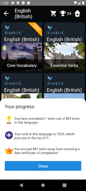 British English Language Tests Screenshot 2
