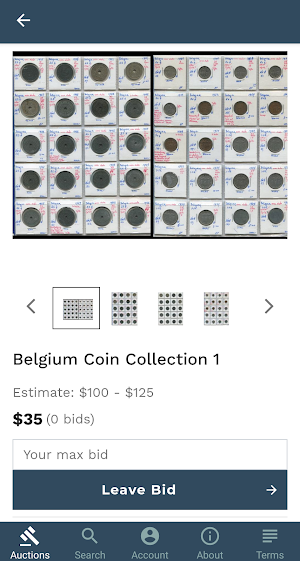 Oakwood Auctions Live Bidding Screenshot 3