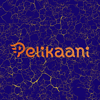Pelikaani Casino