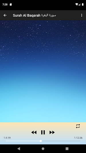 Surah Al Baqarah Al Minshawi Screenshot 0