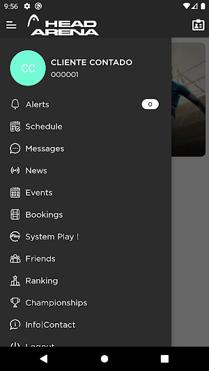 Head Arena Screenshot 1