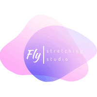 Студия Fly