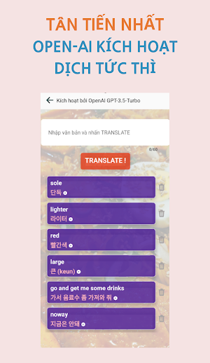 Túi Hàn Quốc Screenshot 2