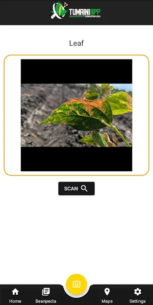 Tumaini Bean Screenshot 2