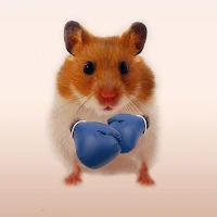 Hamster Wallpapers