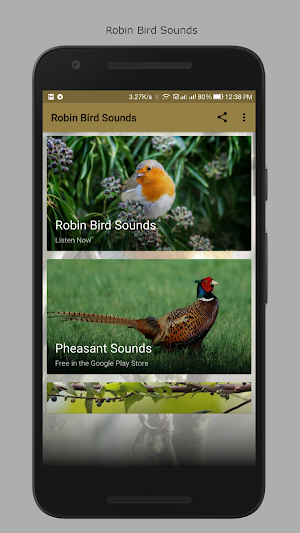 Robin Bird Sounds Screenshot 0
