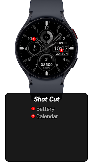 SamWatch AD VIII screenshot 5