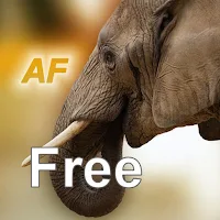 Nature Free - Africa