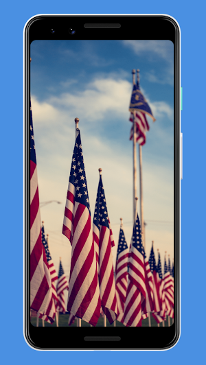 Ultimate USA Flag Wallpapers Screenshot 1