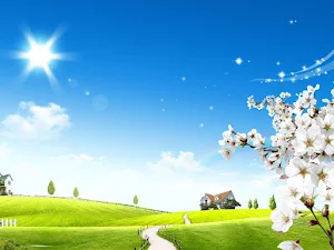 Summer Wallpapers Screenshot 2