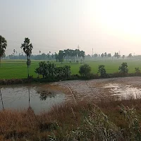 Chhapra/Saran Samachar/Khabar