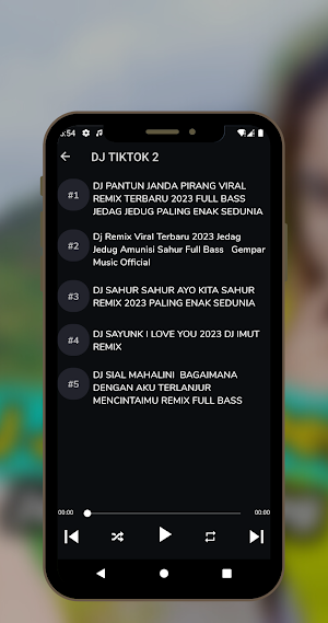 DJ JANDA PIRANG VIRAL OFFLINE Screenshot 2