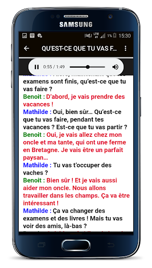 Grammar in dialogues French (without internet) Screenshot 3