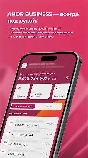 Anorbank Business Screenshot 0